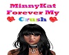 MinnyKat Crush
