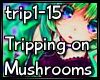 Tripping on Mushrooms
