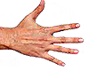 Perfect Hands ( M )
