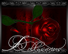 [DS]~Luxury Rose