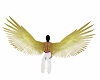 Gold-White angel wings