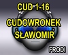 Slawomir-Cudowronek