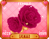 [Pets]Suki |rosebracelet