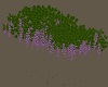 Hanging Wisteria Purple