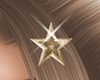 Star Hair Clips Drv
