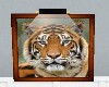 Framed Bengal