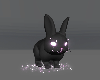 Moon Aura Rabbit 🐇