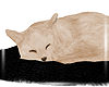 [R]Sleeping Cat Yellow