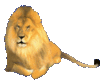 Lioness *RR*
