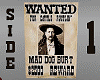 2 WANTED POSTERS DEV