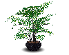plant with marble pot