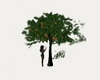 Tree and kisses - SP