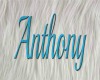 Anthony's Blue Stocking