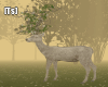 [Ts]Forest deer
