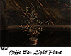 Coffee Bar Light Plant