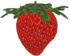 SG Strawberry
