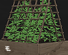 Ivy Plant Pot