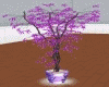 SM Animated Purple Palm2