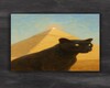 The Desert Canvas