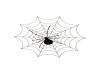 {LS} Spider w/web