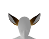 Orange ears