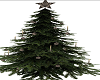 =ED=Christmas Tree 2015