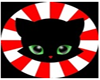 Japan Style Cat