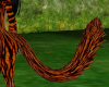 Thick Tiger Tail