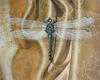 )O( Dragonfly on Gold