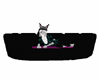 Purple and Black Pet Bed