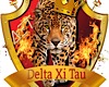 DXT BANNER