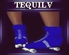 Roller Skates ~Blue~