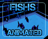 Fish animated star