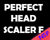 PERFECT HEAD SCALER F