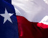 Texas Flag Animated