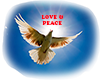 Love n Peace