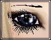 Midnight & Blue 2Tone Sp