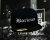 Boricua Hat Back
