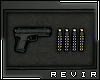 R║ Display Pistol