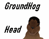 GroundHog Head