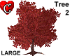 Tree2 redMaple 2Nodes