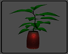 XK Plant I
