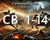 Carmina Burana (Techno+D