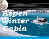 Aspen Winter Cabin