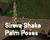 Sireva Shake Palm Poses 