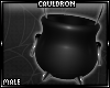 Sacred Cauldron