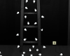 CoCo Ladder