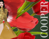 !A red tulips