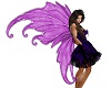 Fairy Wings Dark Pink