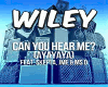 Wiley-Can you hear me p1